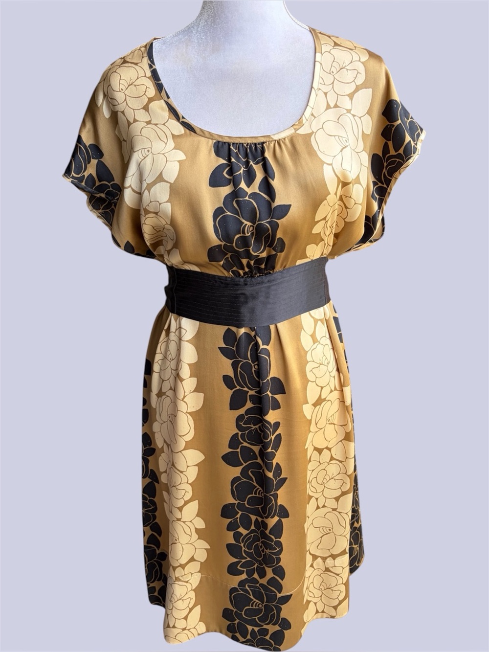 The Limited vintage 2000s silk belted empire dress size 8